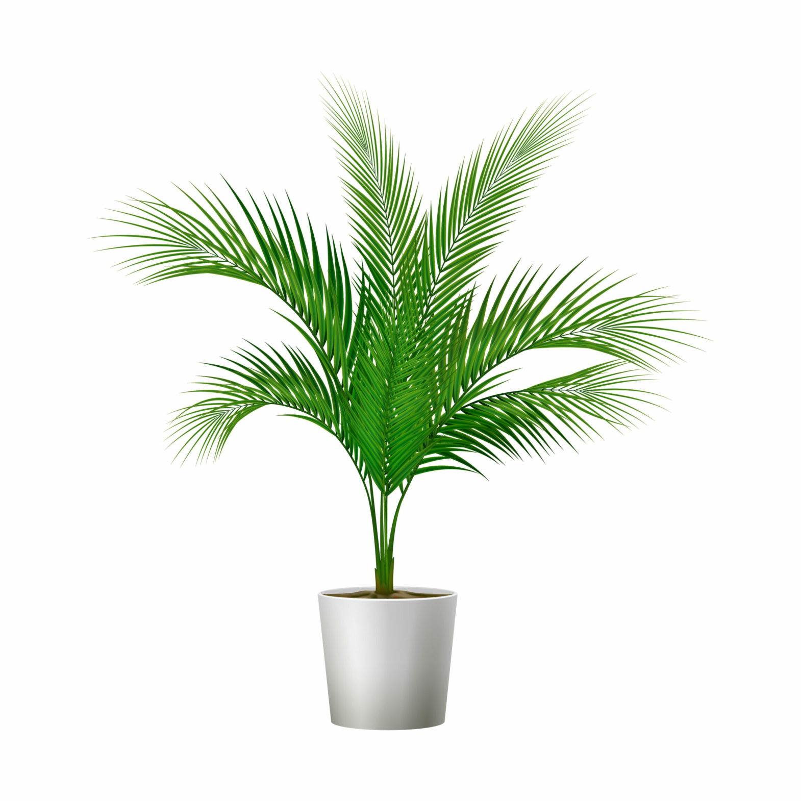 Green potted plant for room interior realistic vector illustration