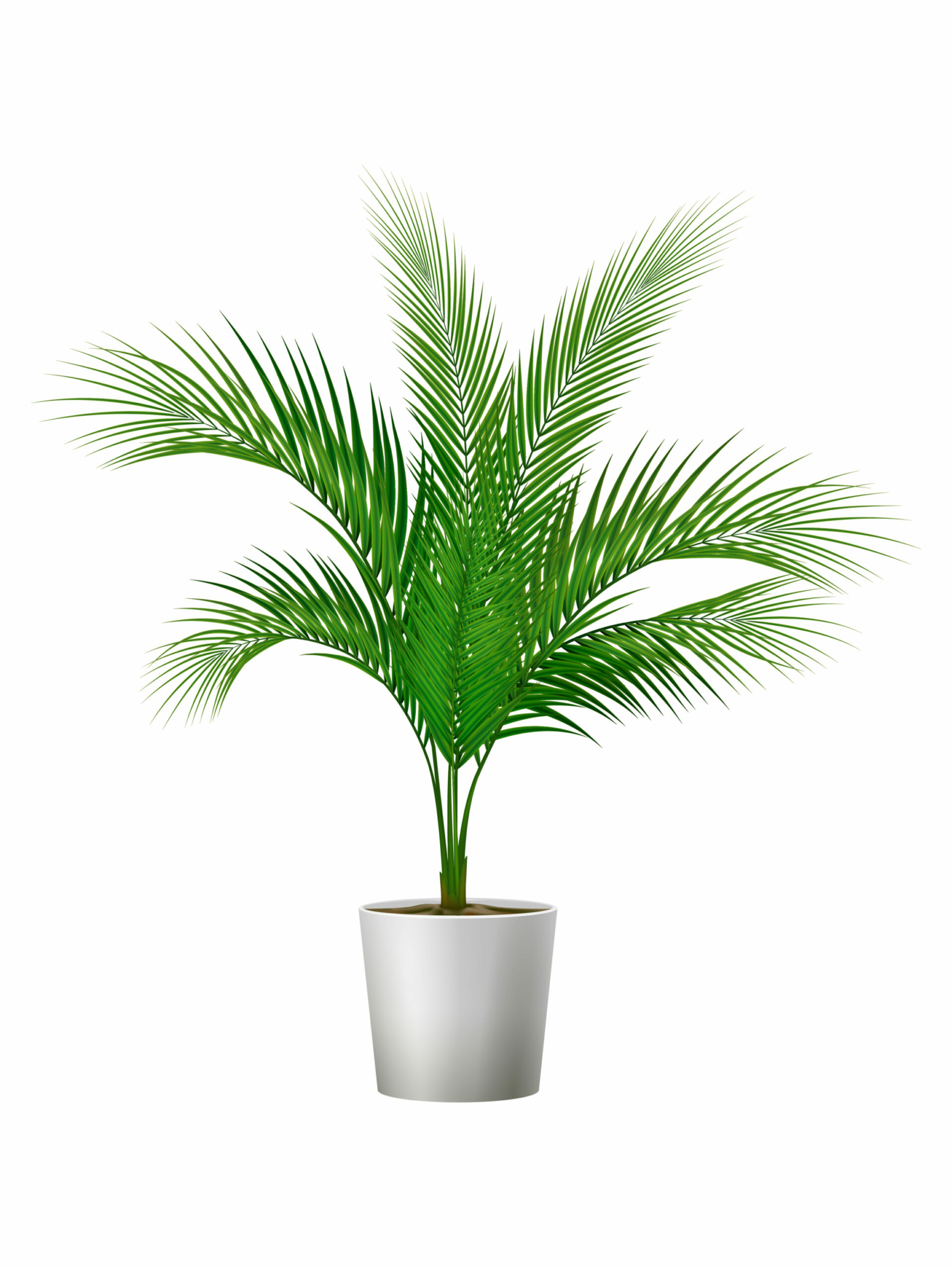 Green potted plant for room interior realistic vector illustration