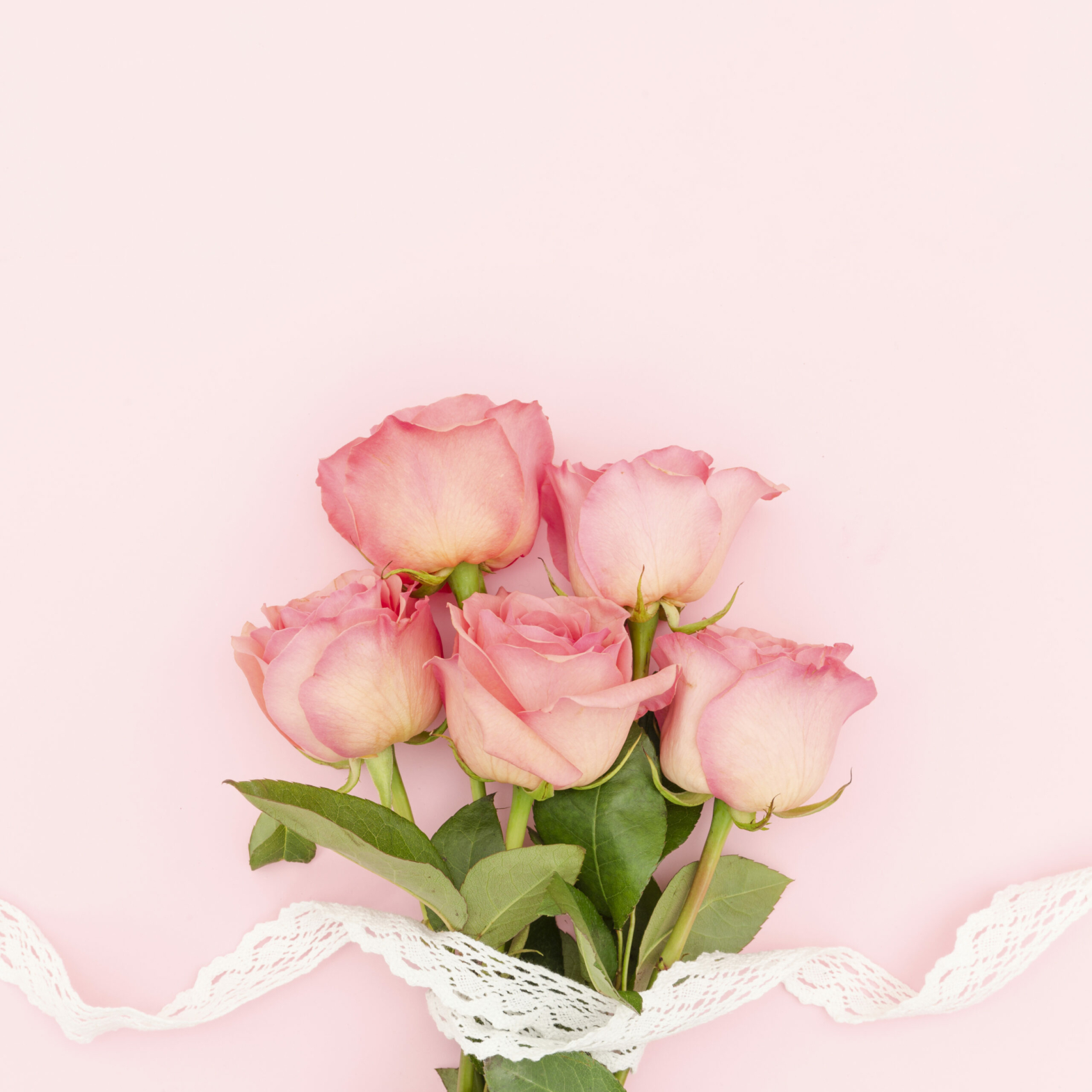 top-view-pink-roses-with-copy-space