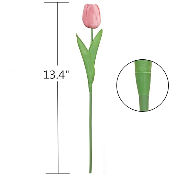 Blush Tulip Bloom - Image 3